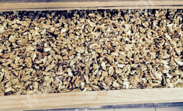 Грецкий орех урожай 2015