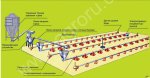 Оборудование для напольного выращивания бройлеров