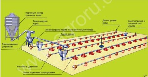 Оборудование для  напольного  выращивания  бройлеров
