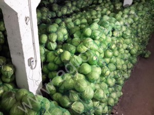 Капуста оптом