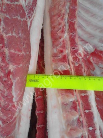 Мясо свинина