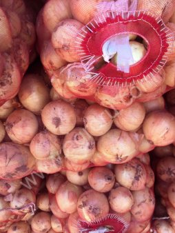 Свежий репчатый лук (урожай 2017 года)