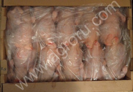 Курятина ЦБ 1-2 категории оптом (охлажденка, заморозка) напрямую от производителя