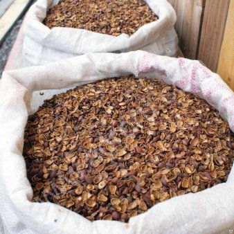 Шелуха кедрового ореха