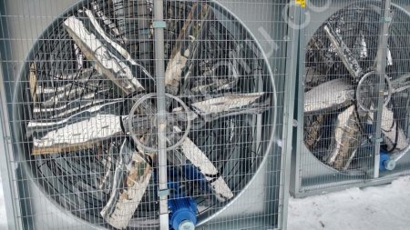 Разгонный циркуляционный вентилятор для коровника