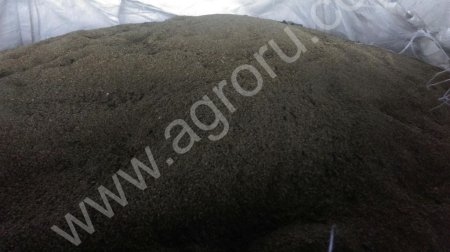 Барда (отход производства этилового спирта)