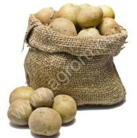 Стимулятор урожайности картофеля