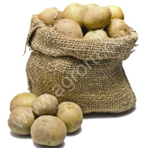 Стимулятор урожайности картофеля