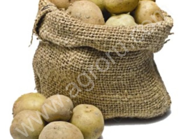 Стимулятор урожайности картофеля