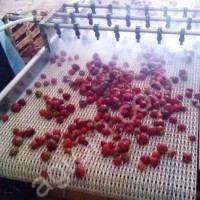 Конвейеры с модульной лентой