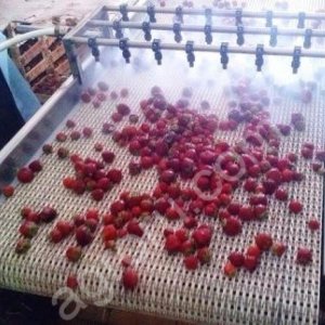 Конвейеры с модульной лентой