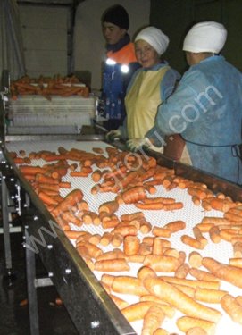 Линия производства фруктовых и овощных пюре