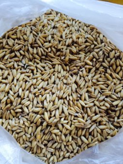 крупа овсяная (недробленая)