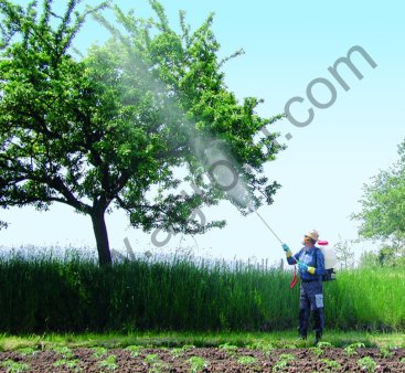 распылители