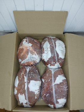 Говядина Шейно-лопаточный отруб б/к Мясо оптом