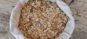 Семена Ферулы