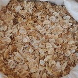 Семена Ферулы