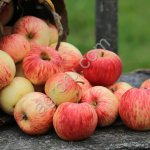 Голден Делишес сладкий