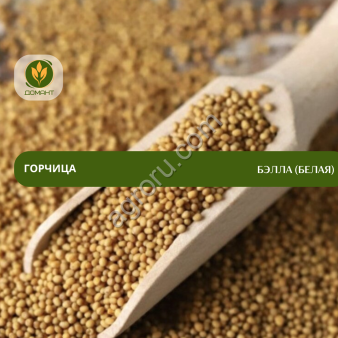 Семена горчицы Бэлла (Белая) (РСт)