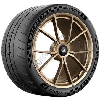 325/30R21 Michelin Pilot Sport Cup 2R 108Y NO, Франция, (арт.: 311223)