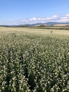 Сельхозпредприятие