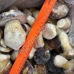 Гриб белый и ассортимент шок зам в Новосибирске