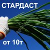 Лук на зелень Стардаст