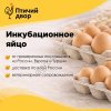 Инкубационное яйцо бройлеров Кобб/Росс  залог успешного старта вашего птицеводческого бизнеса!