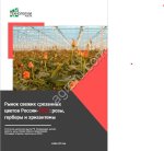 Рынок свежих срезанных цветов России-2025: розы, герберы и хризантемы. Объем, конкуренция, прогнозы