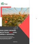 Рынок свежих срезанных цветов России-2025: розы, герберы и хризантемы. Объем, конкуренция, прогнозы