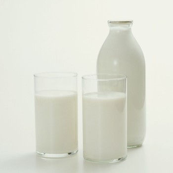 В Тернопольской обл. за 11 мес. 2010 г. производство молока сократилось на 1,5% до 397,2 тыс. т