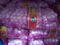 <strong>Чеснок</strong> сетка (3 шт)