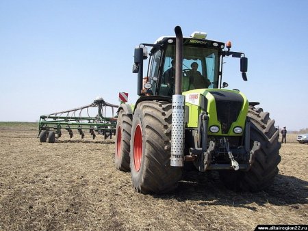 Хозяйства Алтайского края провели сев яровых культур на площади 61 тыс. га