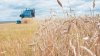 Уборочная кампания в Саратовской области набирает темпы