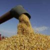 Компромисс с зернотрейдерами