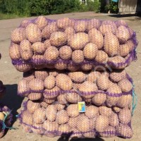Картофель оптом