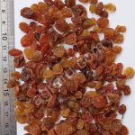 Изюм Малаяр