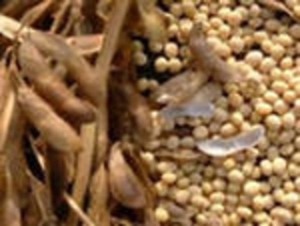 Рекордный результат в Бразилии