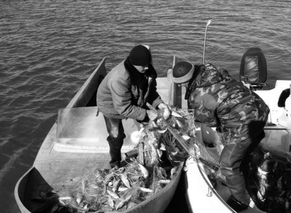 В Перми на КамГЭСе занялись отловом рыбаков