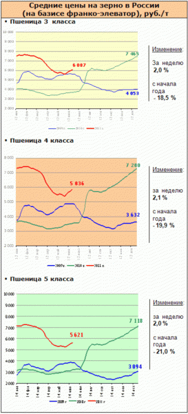 Рынок зерна – текущая ситуация