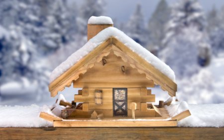 Французы заказывают в Алтайском крае кормушки для птиц