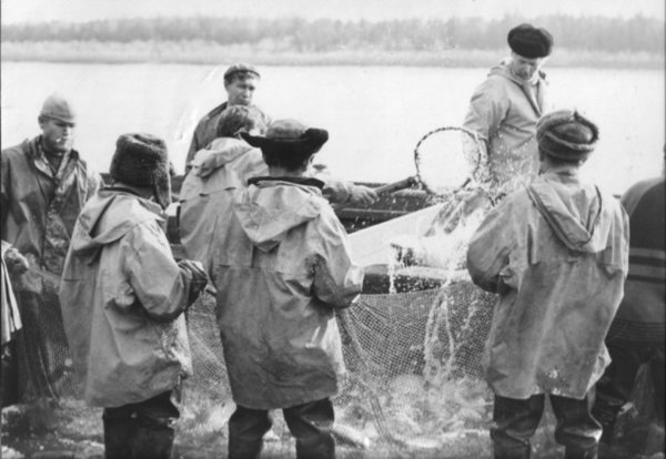 На Ямале обсудили организацию рыбного промысла