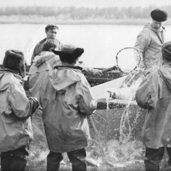 На Ямале обсудили организацию рыбного промысла