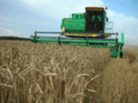 На Южном Урале убрана почти четверть зерновых