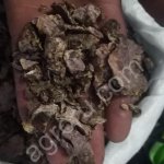 золотой корень