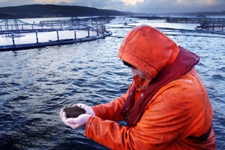 Шведы помогут украинским рыбакам