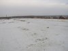 Озимые тревожат аграриев