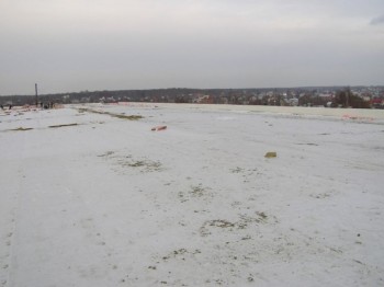 Озимые тревожат аграриев