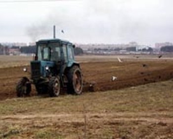 В Башкортостане впервые посеют лен масличный, рыжик, сою и горчицу