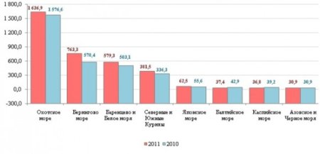 Не лучший год для минтая